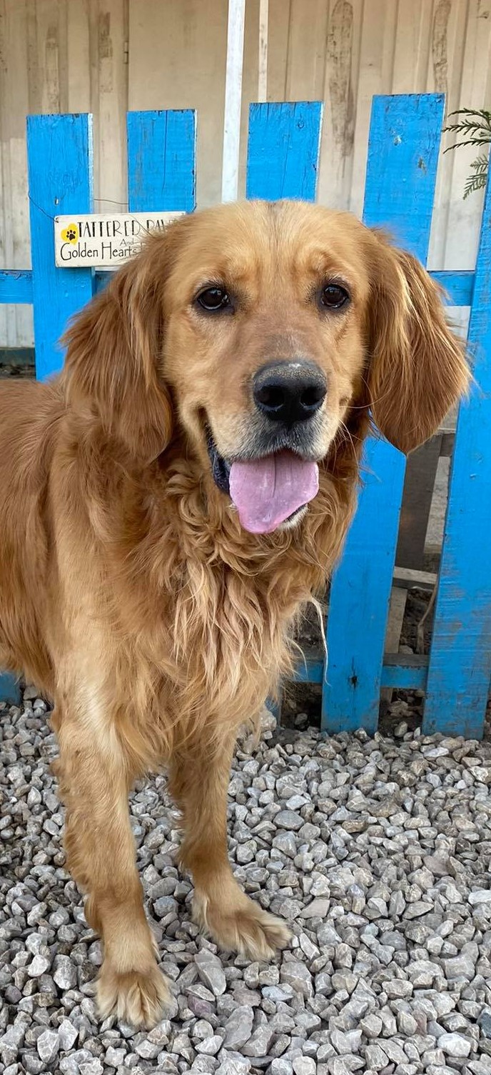 Beau (fka August)  